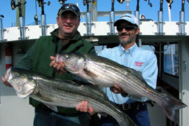 Striper Fishing Charters