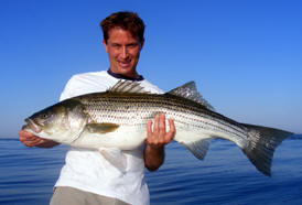 Striper Fishing Charters