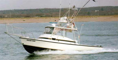 RI Shark Fishing charters